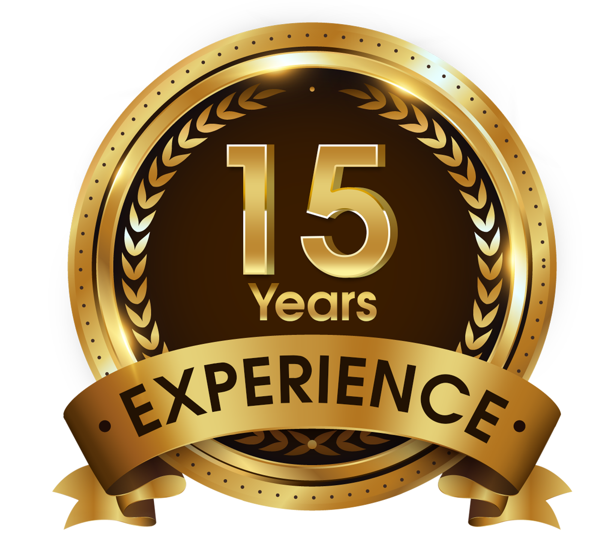 15 Years Logo